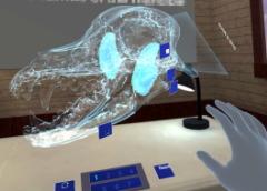 VR for Canine Anatomy